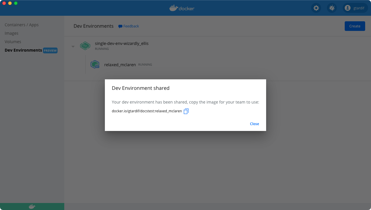 Dev environment shared