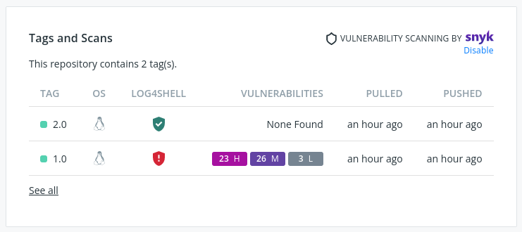 Vulnerability scan report